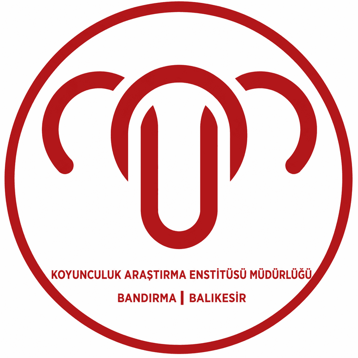 MERİNOSGÜCÜ